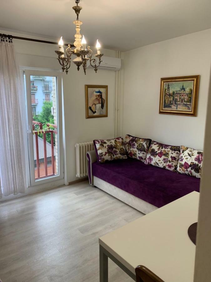 Violet Star Apartment Novi Sad Exterior foto
